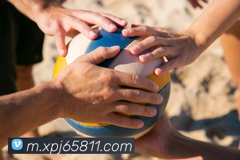 多媒体互动体验